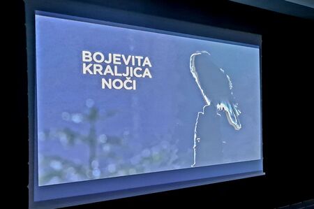 Bojevita kraljica noci 1