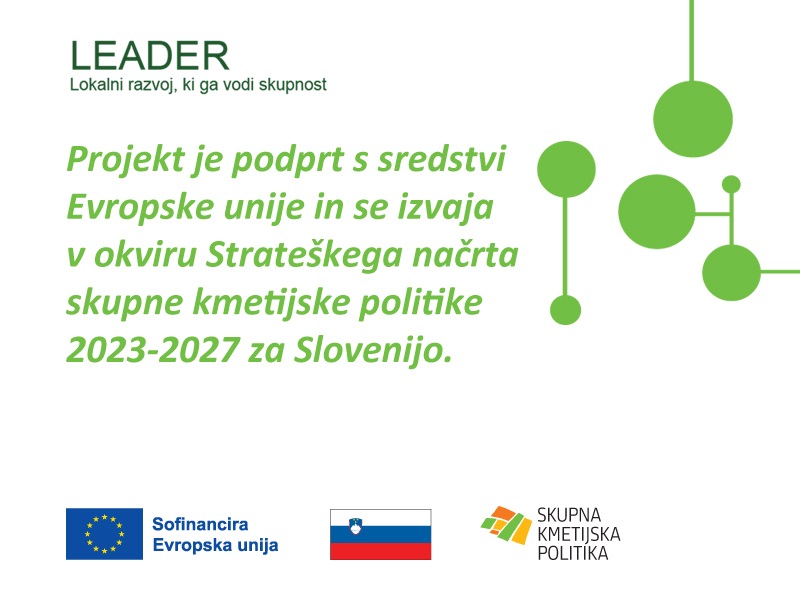 pasica-za-objavo-fb-in-instagram-leader_projekt